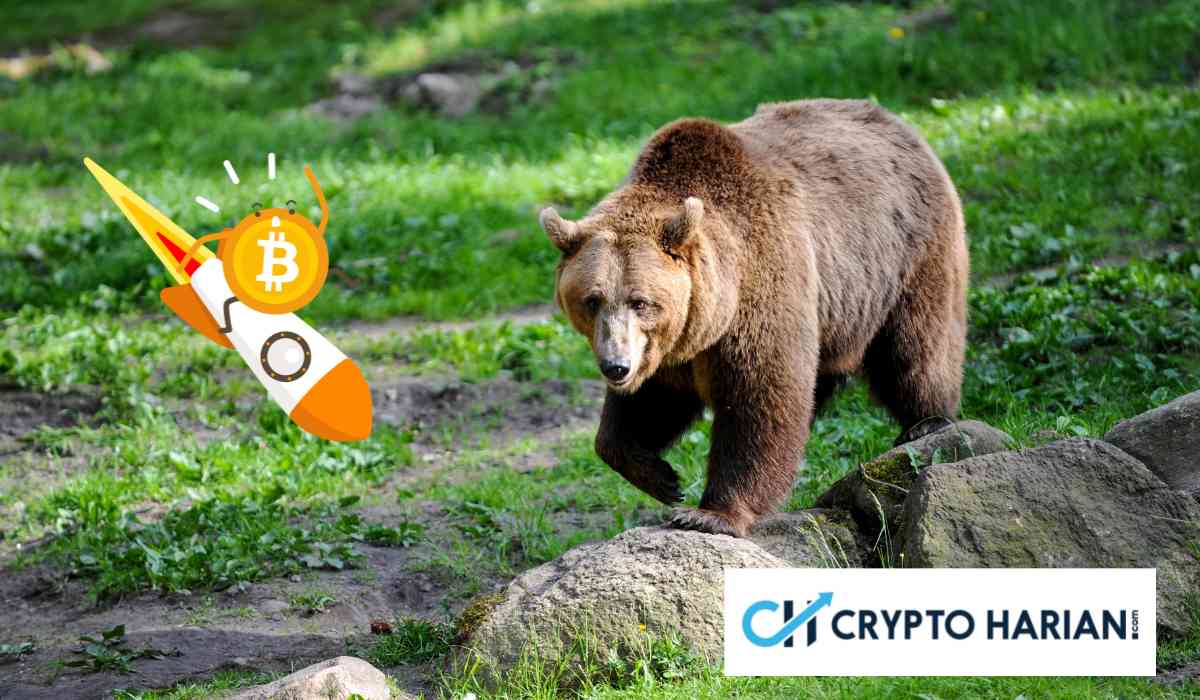 Whale dan Ritel Kompak Jual, XRP Bakal Koreksi Brutal?