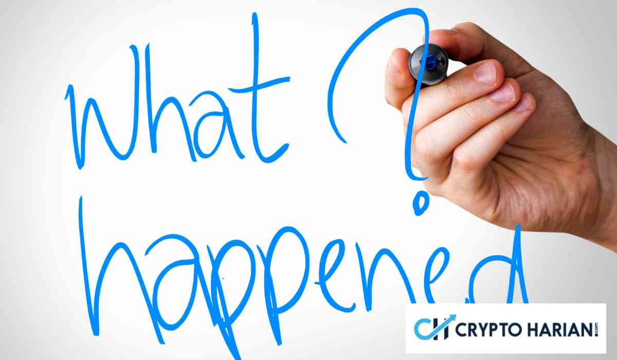 Apa Yang Terjadi di Pasar Bitcoin Saat Ini Menurut Trader X?