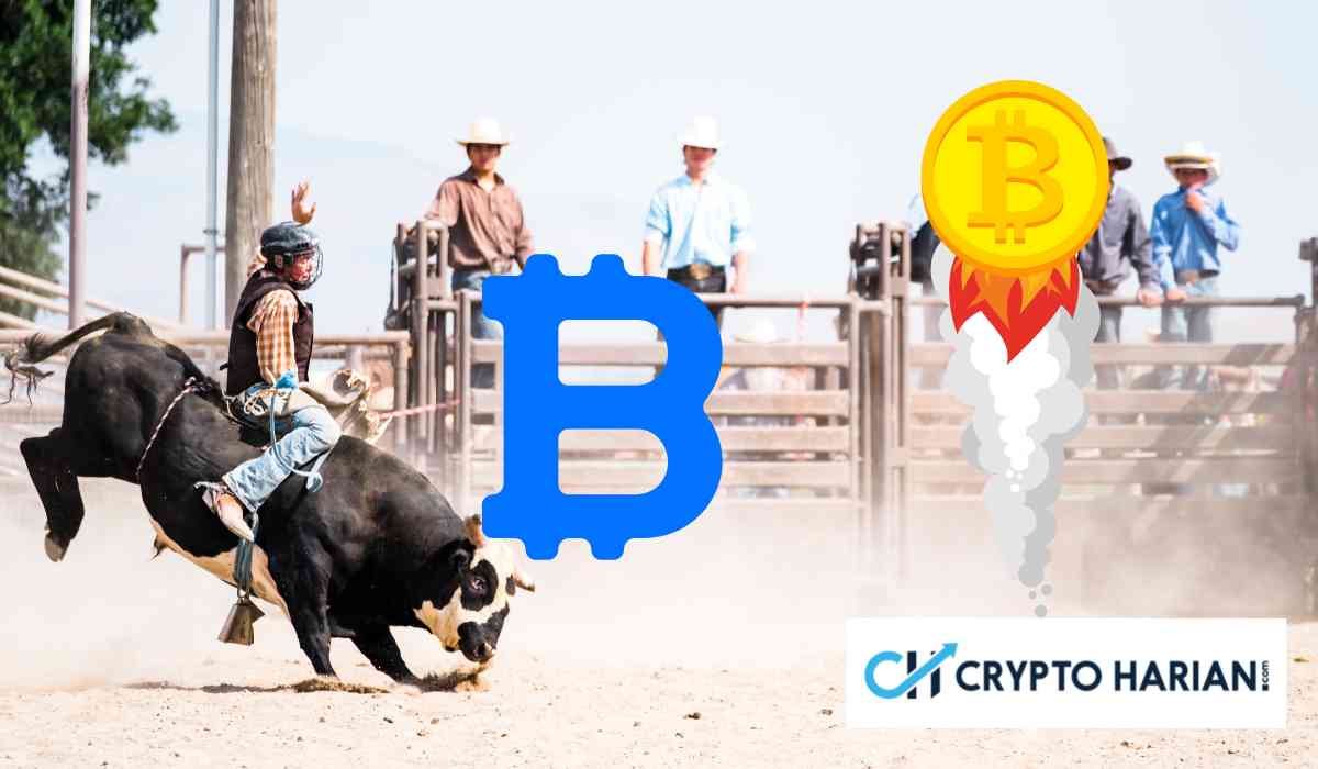 Bitcoin Positif di Awal Pekan! Bull Bertahan di November 2023?