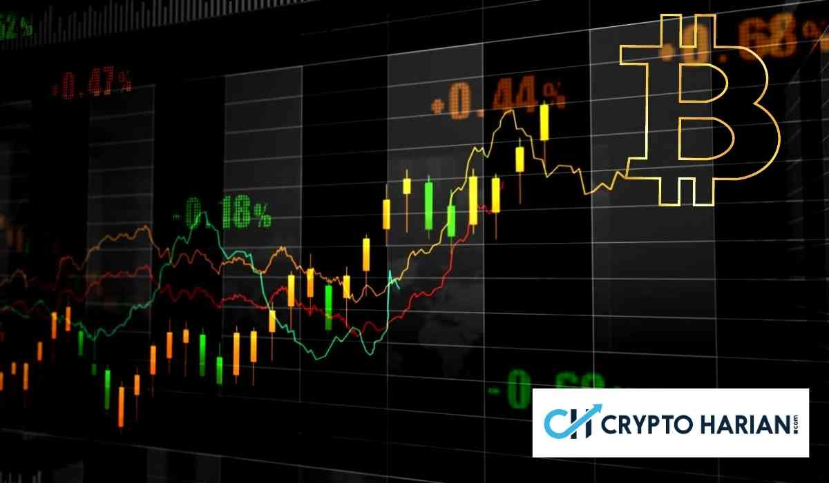 4 Altcoin Ini Berpotensi Melejit Ketika Bitcoin Membaik! | CryptoHarian