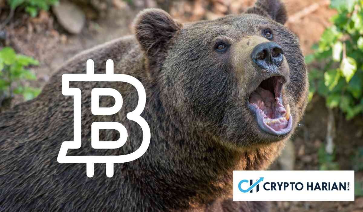 Waspada! Satu Pola Ini Bisa Bawa BTC Kembali ke Level Juni