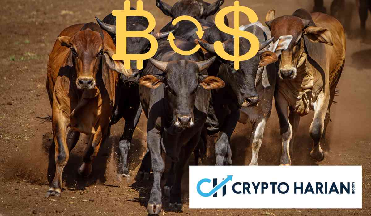 Analis Klaim Bitcoin Bakal Beranjak ke US$ 46.000 Jika Bullish Masih Eksis