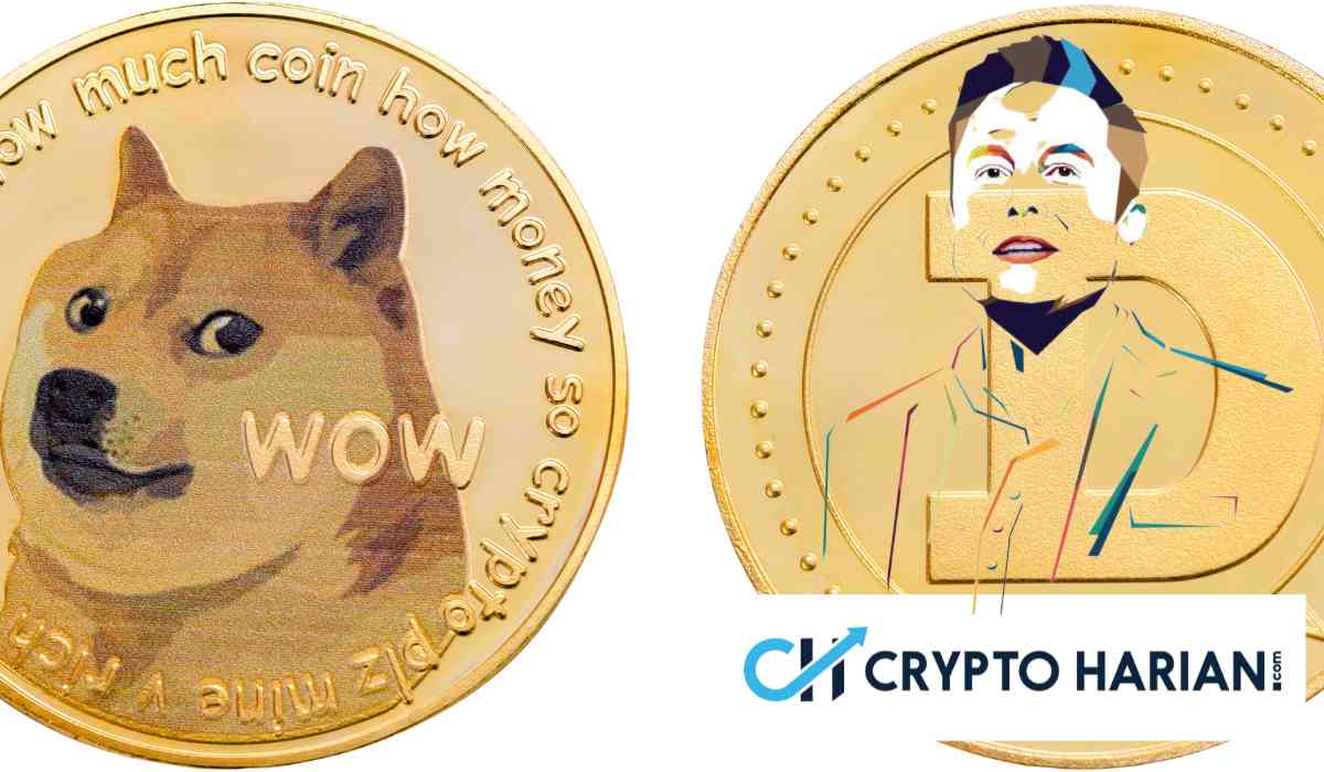 Dogecoin Menggila Pasca Elon Musk Resmikan Pembayaran X