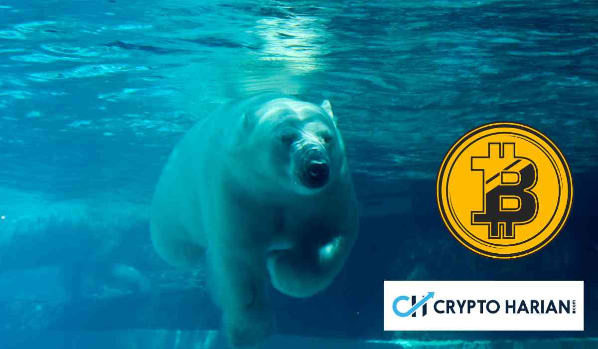 Sentimen Bearish Masih Mengintai Saat Bitcoin Sentuh US$ 66.000