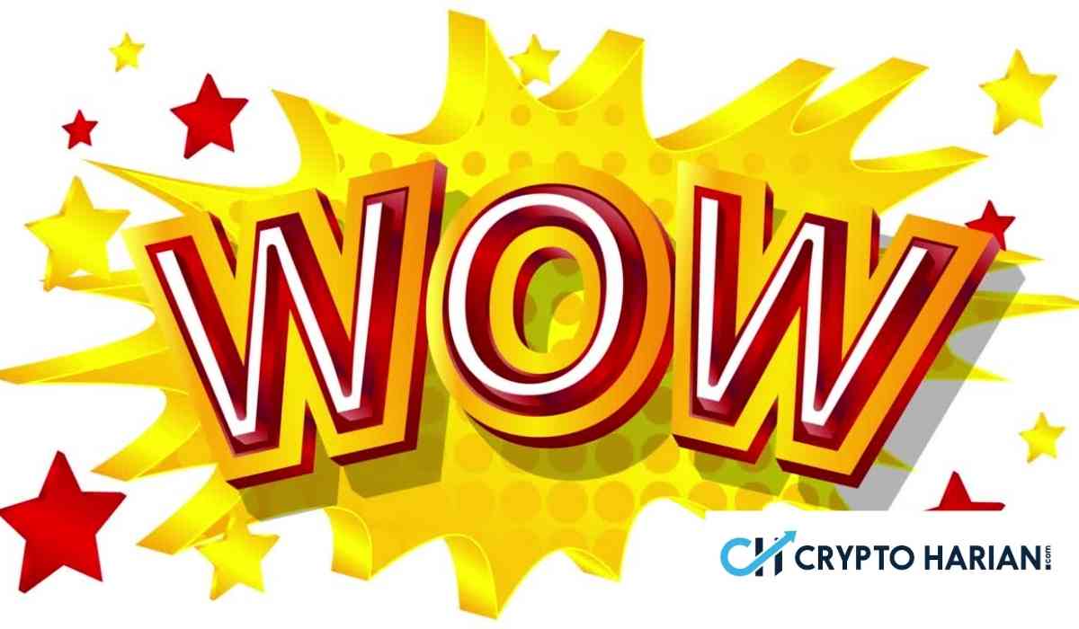 Zcash Jadi Satu-Satunya Aset Hijau di Tengah Aksi Jual Massal Kripto