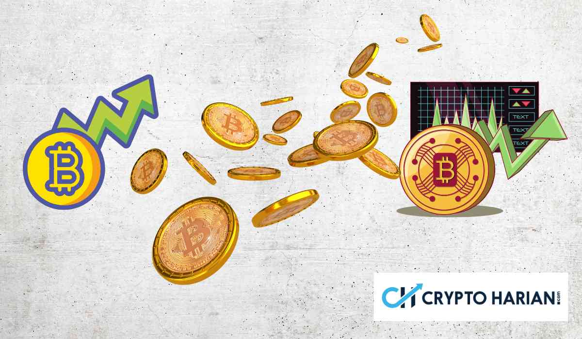 Zcash Unjuk Taring saat Privasi Kembali Jadi Primadona