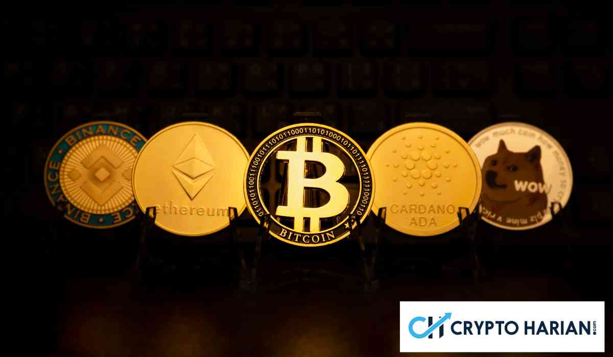 Michael van de Poppe Pilih 5 Altcoin Terbaik di Kuartal Pertama 2024, Berikut Daftarnya!
