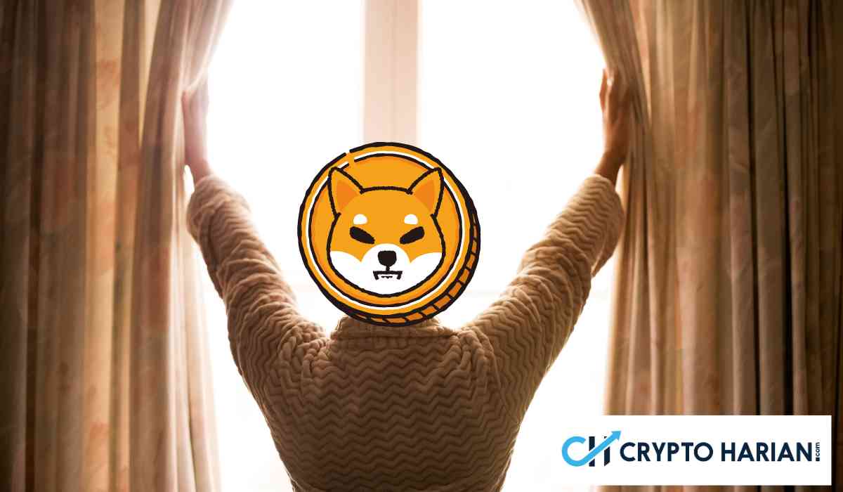 Shiba Inu Hadapi Tantangan di Awal Tahun 2024, Berikut Tren Perdagangan dan Target Harganya
