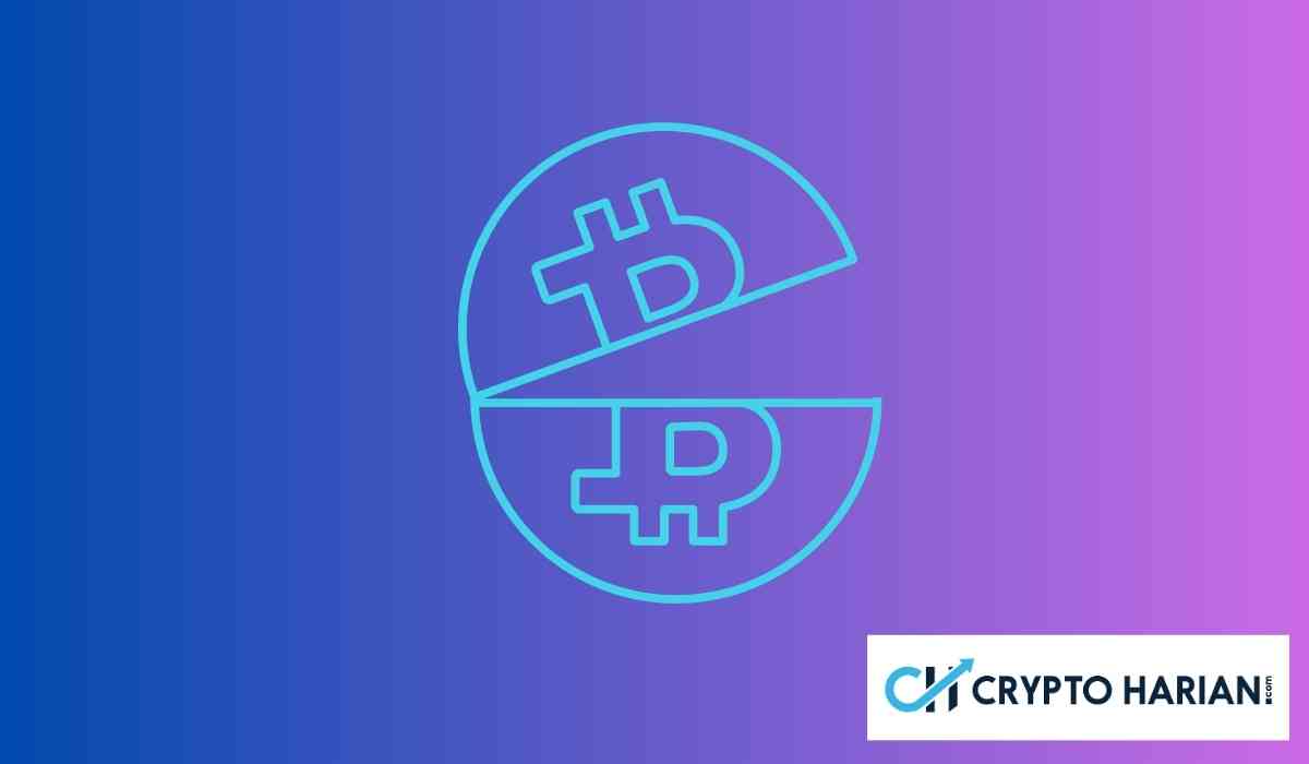 Bukan Halving, Ternyata Ini yang Gerakkan Siklus Bitcoin