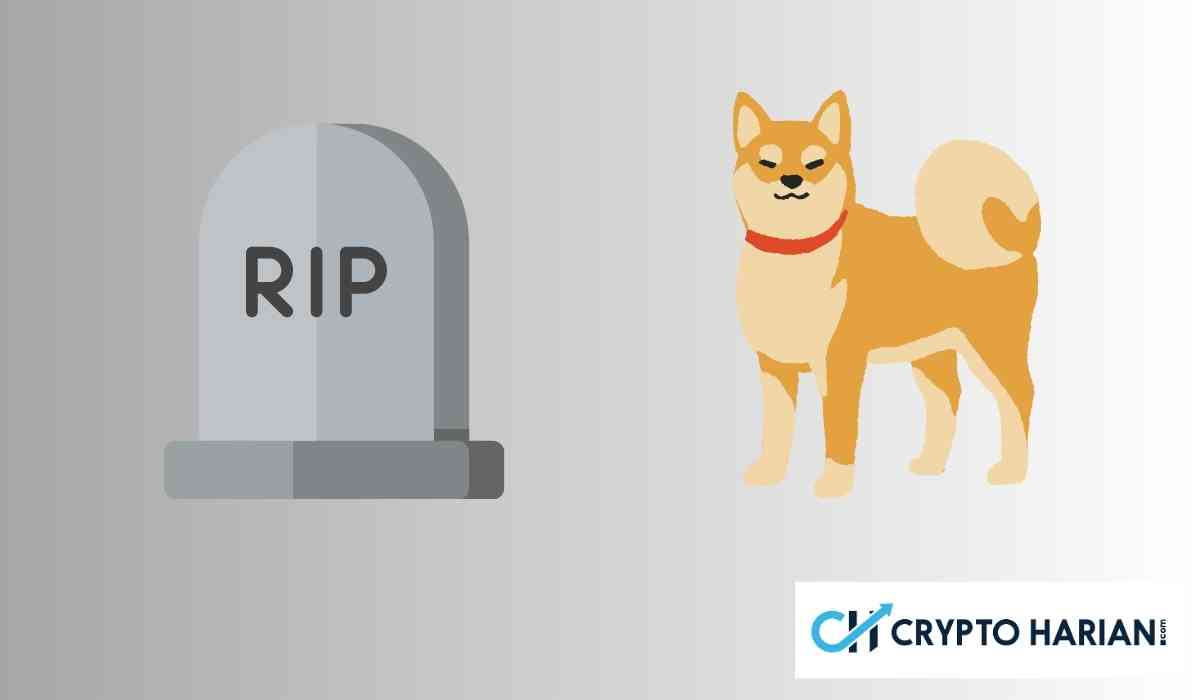 PENGU Resmi Meluncur! Berikut Analisis Harganya Melalui Perbandingan dengan DOGE dan SHIB