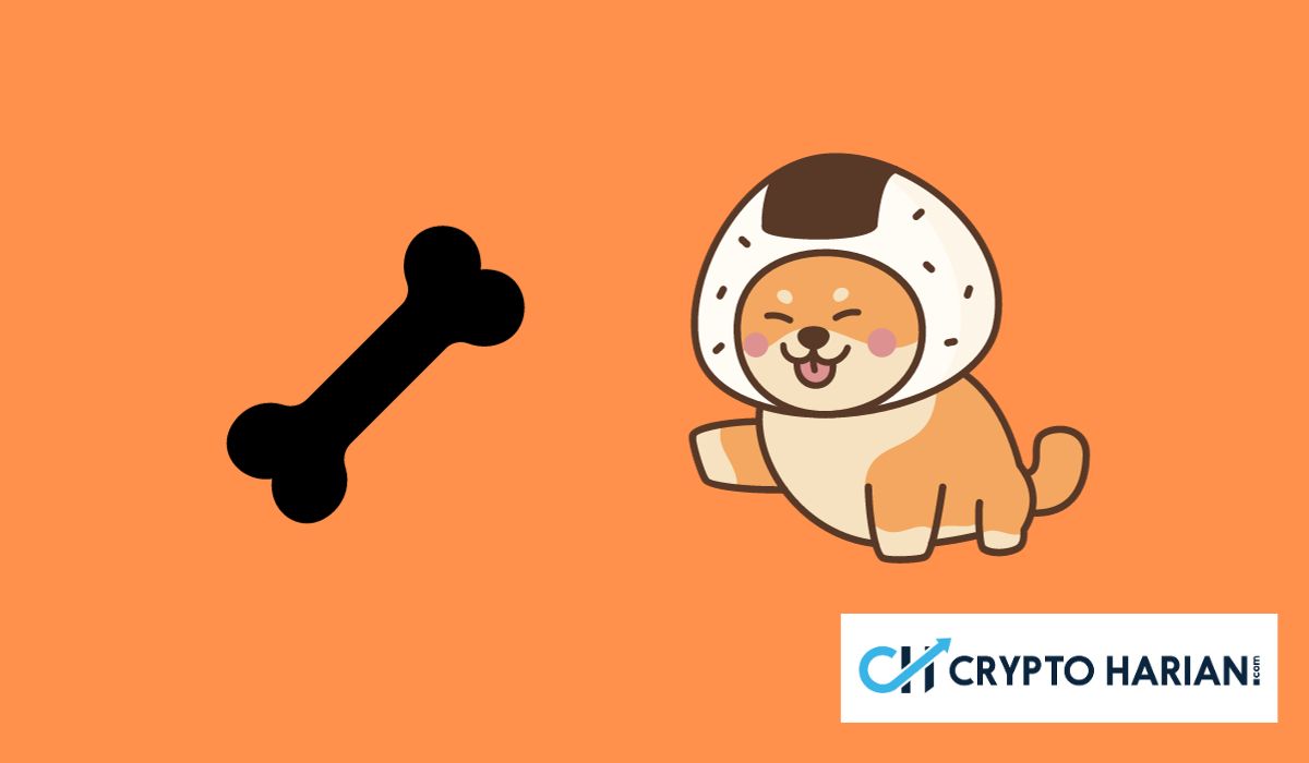 Shiba Inu Umumkan Peningkatan Penting, Harga Berpotensi Naik?