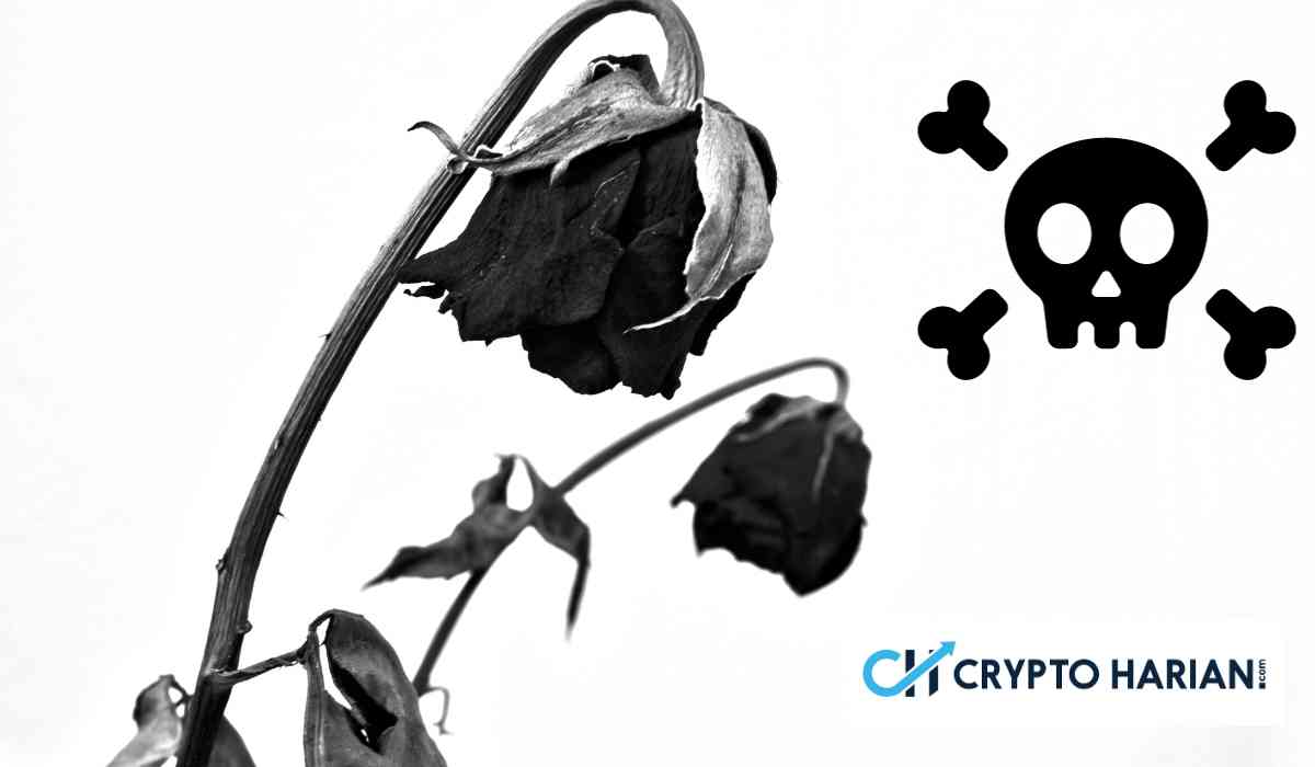 US$ 140 Miliar Hilang dari Kripto dalam 5 Jam, Apa yang Terjadi?