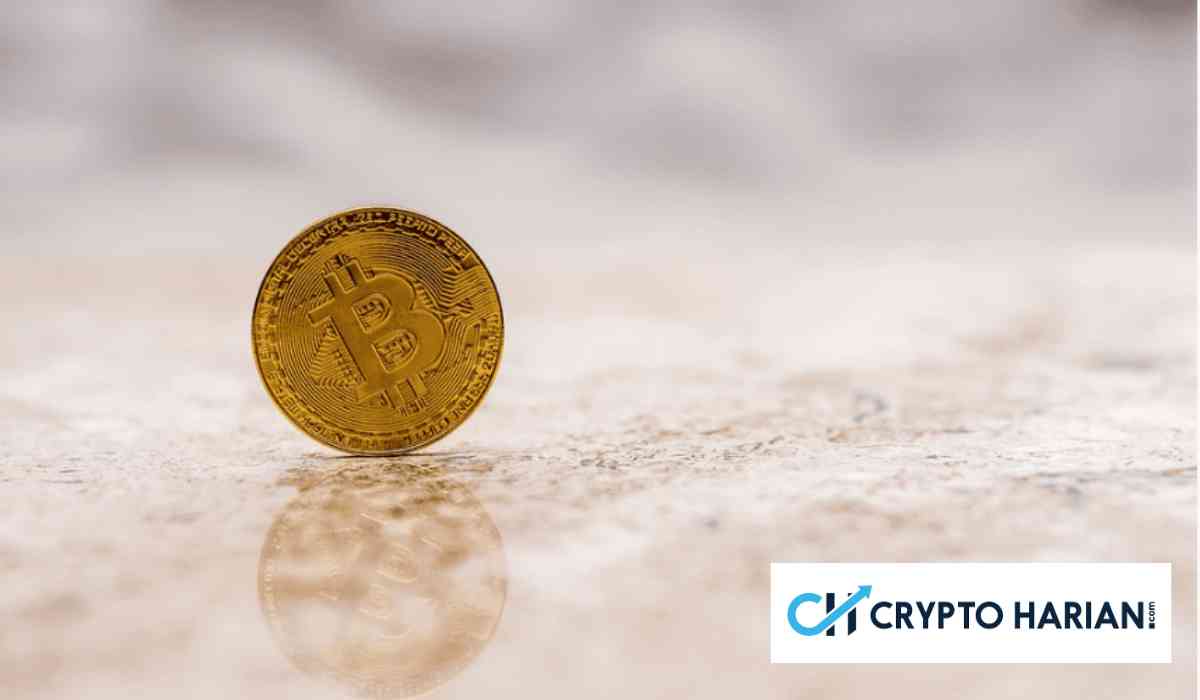 Analis: Apakah Tren Bull Bitcoin Sudah Dimulai di Tengah Tantangan “Tahun Biru”?