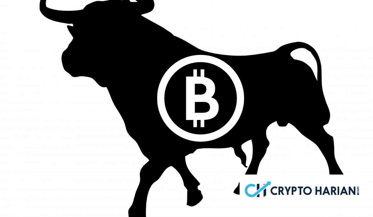 Pengamat: Tanggal 1 Desember Bisa Tentukan Bull atau Crash