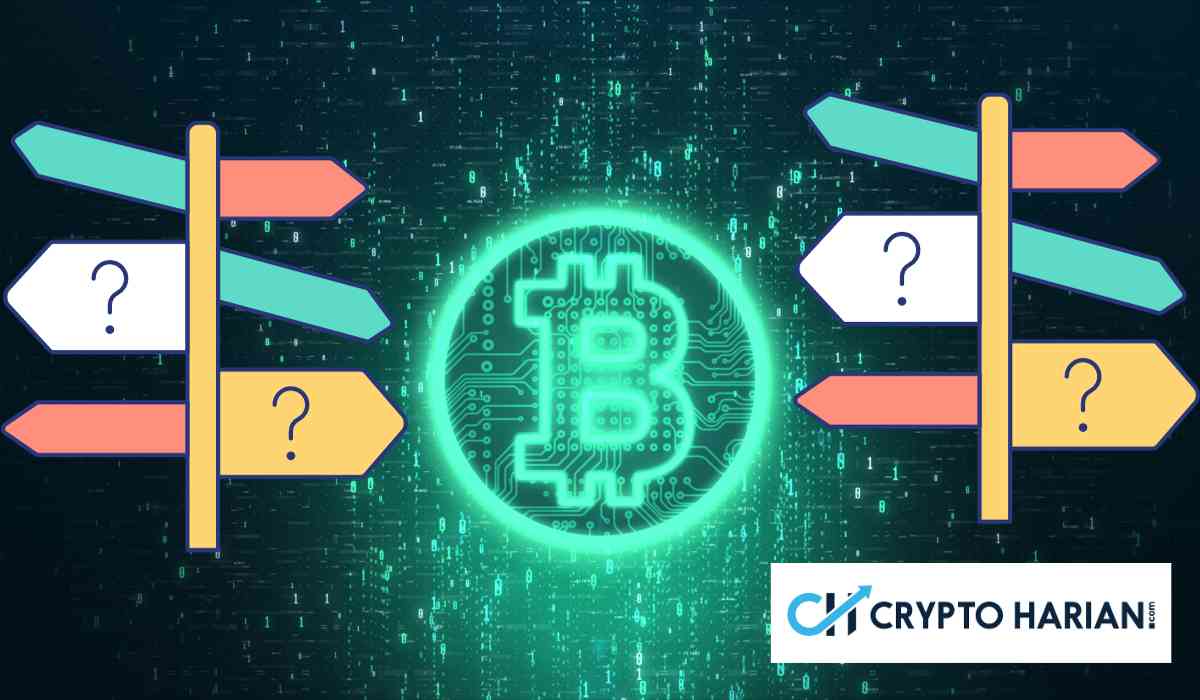 Wallet Misterius Transaksi Gila-Gilaan di Aset XRP sama Bitcoin, Pasar Joget Lagi Nih