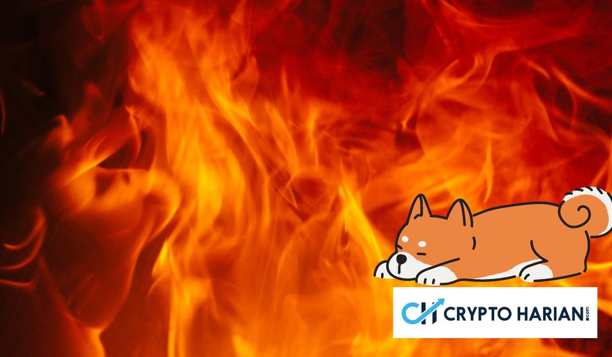 Burn Rate Gila! SHIB Pangkas 12 Juta Token dalam 24 Jam Burn Rate Gila! SHIB Pangkas 12 Juta Token dalam 24 Jam