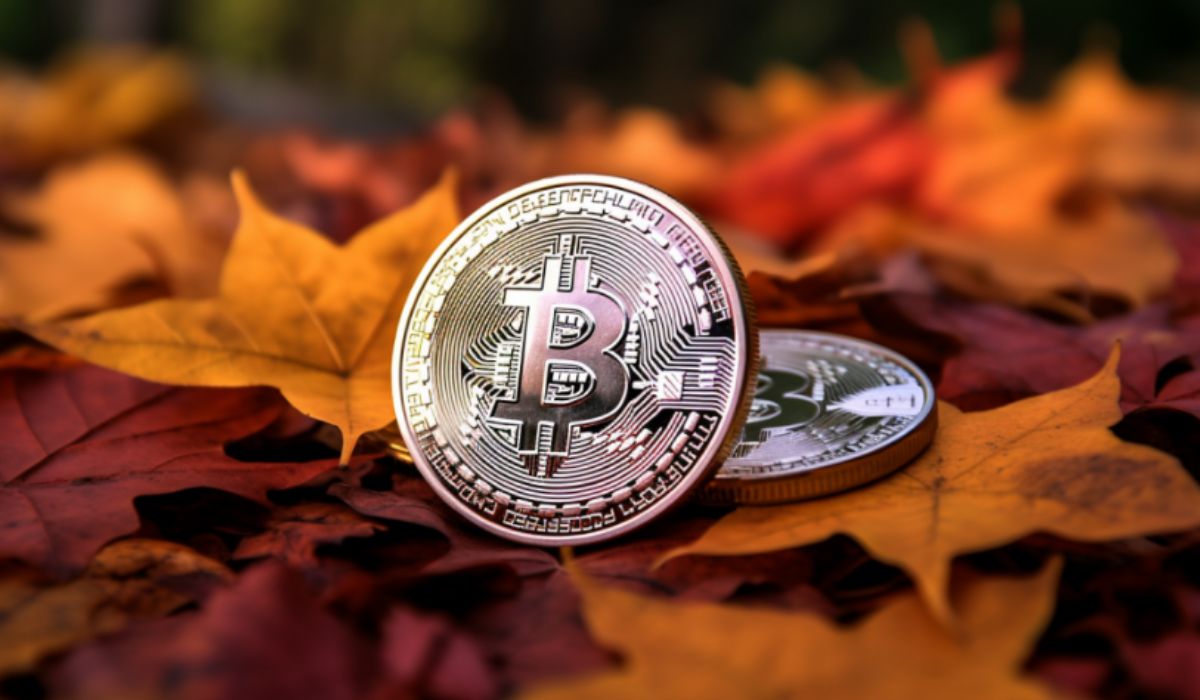 Bitcoin Bahaya! Bitcoin Turun Menjelang Pengumuman Suku Bunga Acuan Amerika