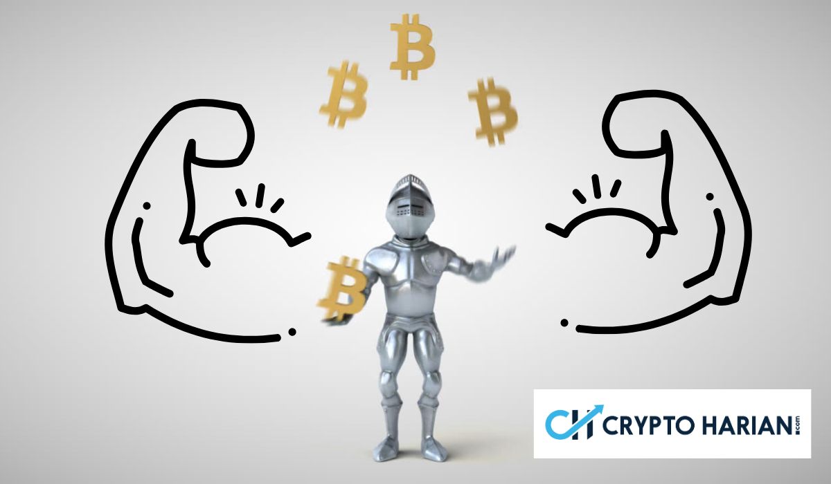 Dua Faktor Ini Dukung Rebound BTC ke US$ 120.000 Dua Faktor Ini Dukung Rebound BTC ke US$ 120.000