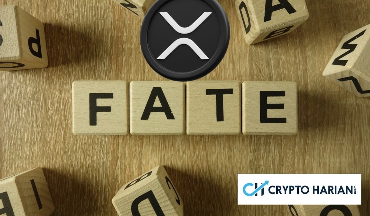 Analisis Harga XRP Dalam Tekanan Jual Whale: Apakah Akan Sanggup Pulih?