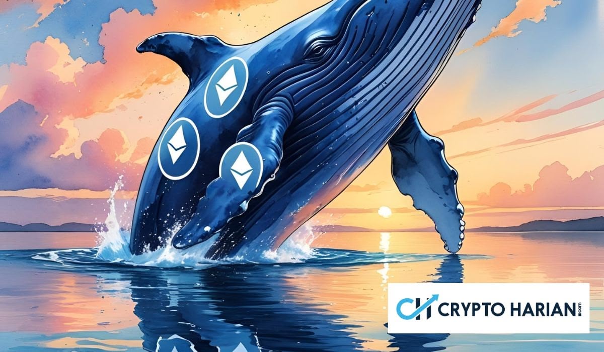 Ethereum Kolaps 15 Persen dalam 3 Hari, Tanda Bear Market atau Peluang Serok?