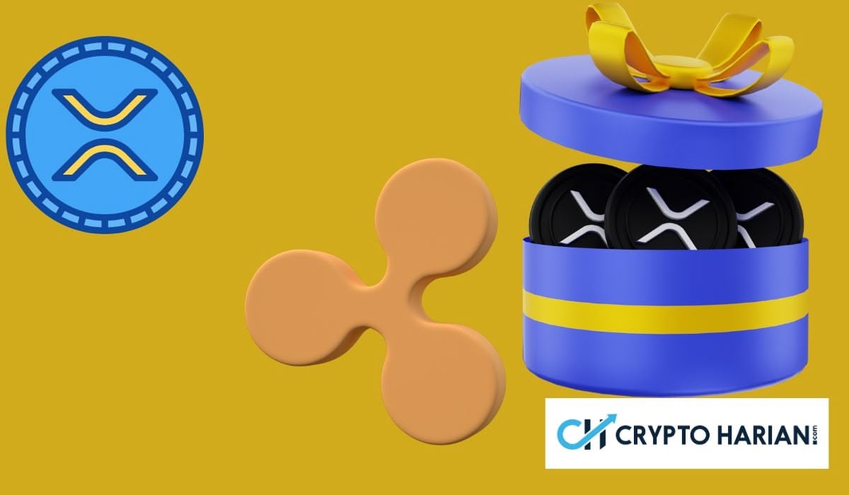 Analisis Harga XRP: Apakah Institusi Bisa Menyelamatkannya?