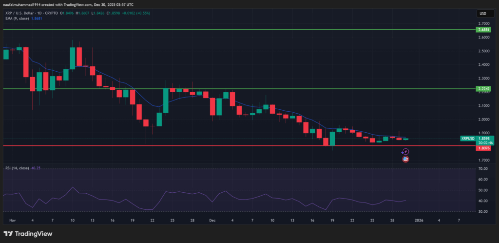 Ripple Mulai Merasakan Momentum Stablecoin! Apakah XRP Bullish di 2026?