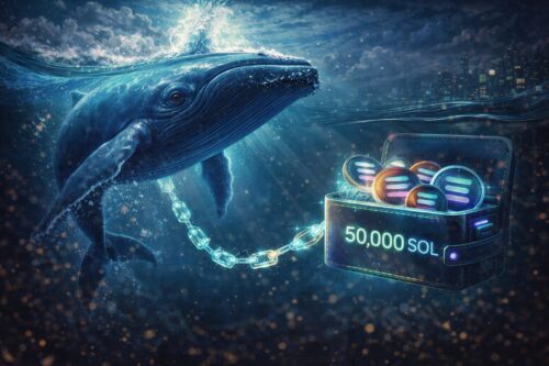Whale Solana Aktif Lagi Setelah 5 Bulan, Tarik 50.000 SOL lalu Staking